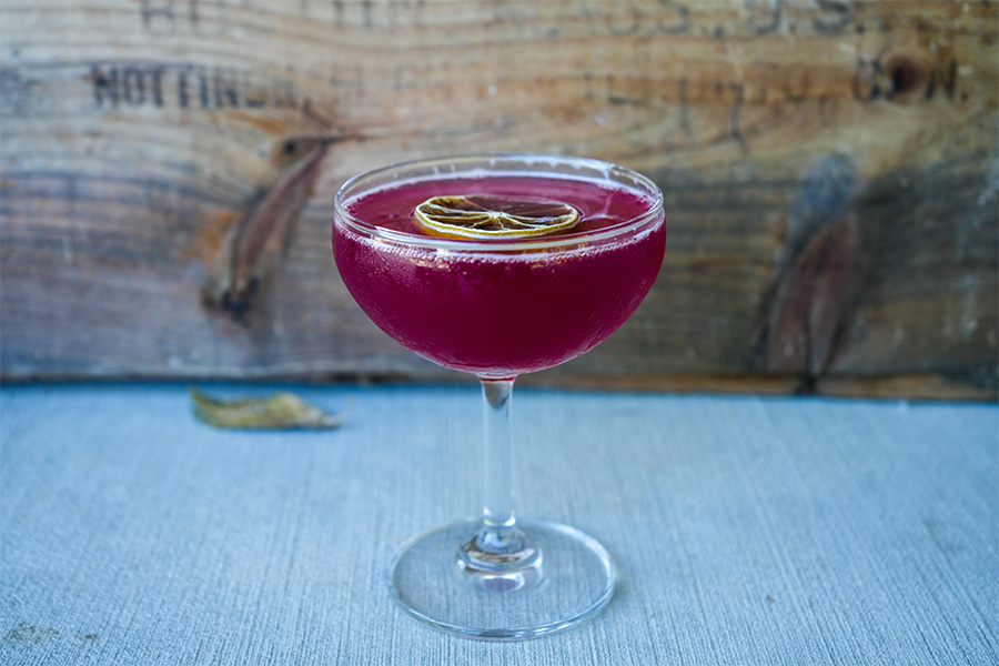 Fall Gin Cocktail - Pomegranate Martini